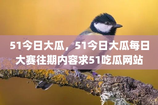 51今日大瓜，51今日大瓜每日大赛往期内容求51吃瓜网站