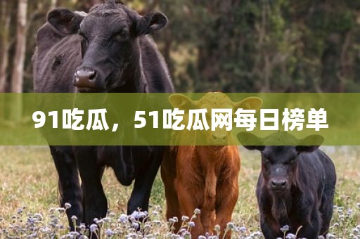 91吃瓜，51吃瓜网每日榜单