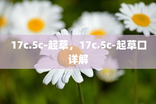 17c.5c-起草，17c.5c-起草口详解