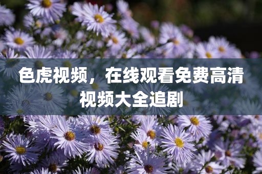 色虎视频，在线观看免费高清视频大全追剧