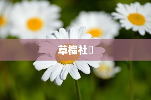 草榴社區