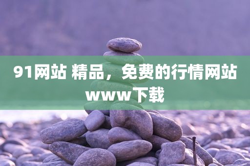 91网站 精品，免费的行情网站www下载