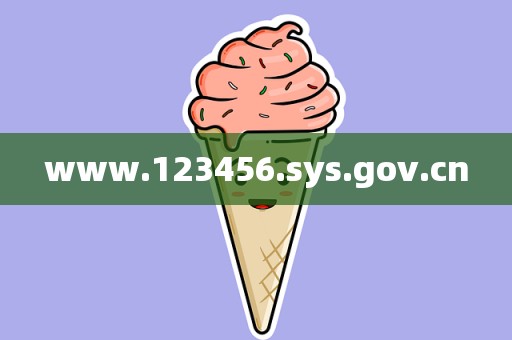 www.123456.sys.gov.cn