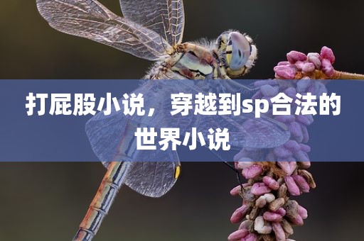 打屁股小说，穿越到sp合法的世界小说