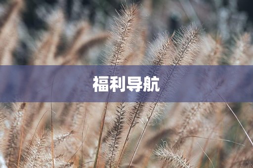 福利导航