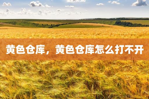 黄色仓库，黄色仓库怎么打不开