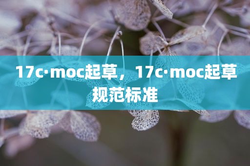 17c·moc起草，17c·moc起草规范标准