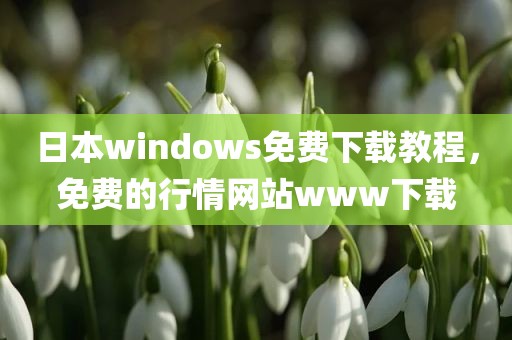 日本windows免费下载教程，免费的行情网站www下载