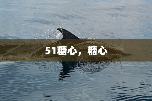 51糖心，糖心
