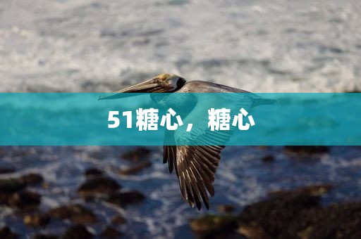 51糖心，糖心