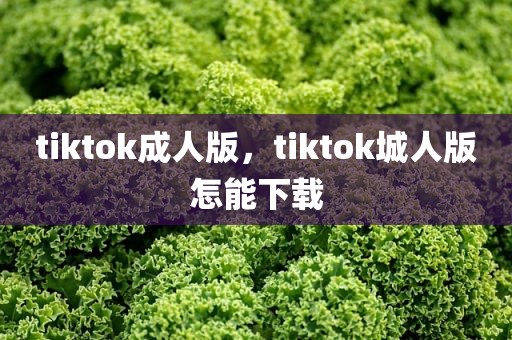 tiktok成人版，tiktok城人版怎能下载