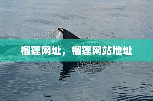 榴莲网址，榴莲网站地址