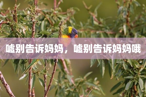 嘘别告诉妈妈，嘘别告诉妈妈哦