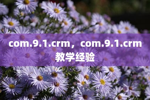 com.9.1.crm，com.9.1.crm教学经验