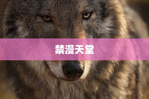 禁漫天堂