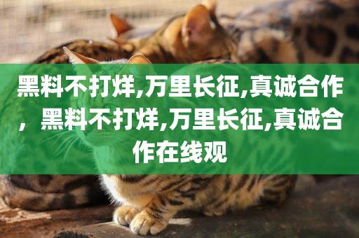 黑料不打烊,万里长征,真诚合作，黑料不打烊,万里长征,真诚合作在线观