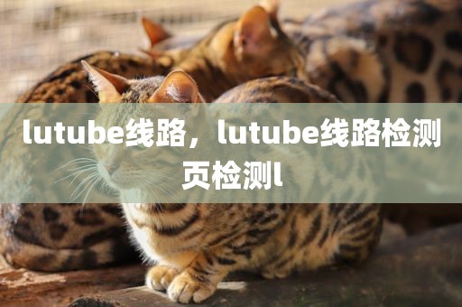 lutube线路，lutube线路检测页检测l