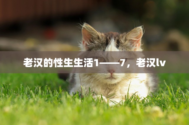 老汉的性生生活1——7，老汉lv