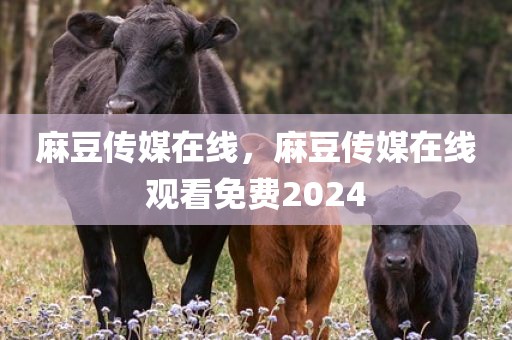 麻豆传媒在线，麻豆传媒在线观看免费2024