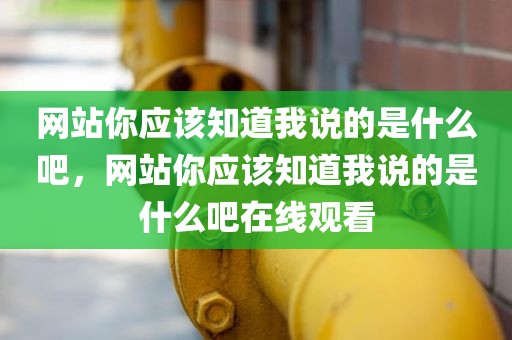 网站你应该知道我说的是什么吧，网站你应该知道我说的是什么吧在线观看