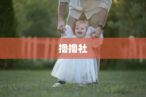 撸撸社