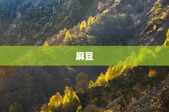 麻豆