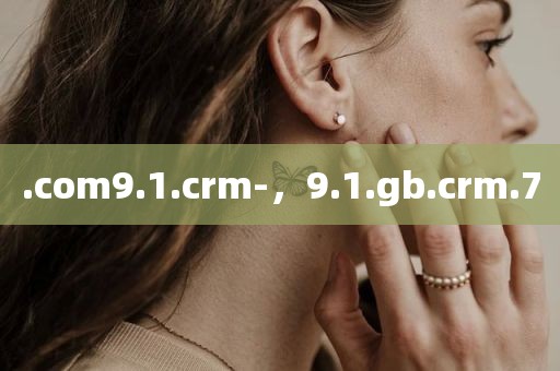 .com9.1.crm-，9.1.gb.crm.7