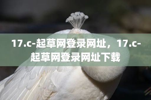 17.c-起草网登录网址，17.c-起草网登录网址下载