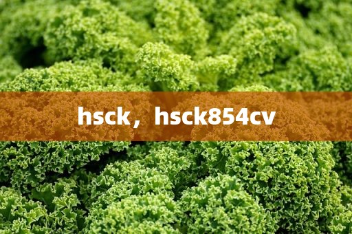 hsck，hsck854cv