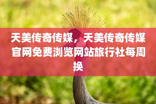 天美传奇传媒，天美传奇传媒官网免费浏览网站旅行社每周换