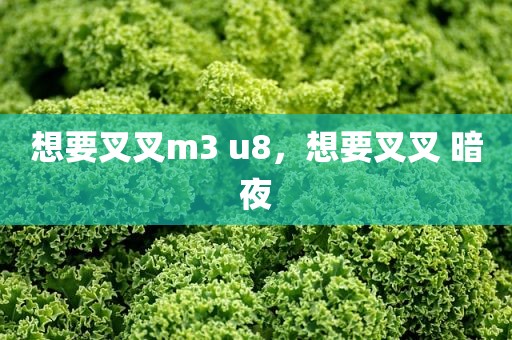 想要叉叉m3 u8，想要叉叉 暗夜