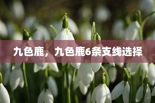 九色鹿，九色鹿6条支线选择