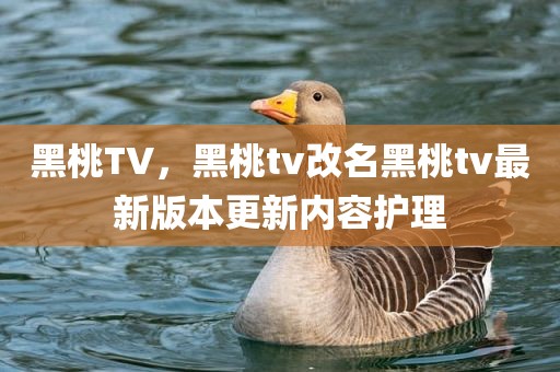 黑桃TV，黑桃tv改名黑桃tv最新版本更新内容护理