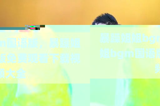 暴躁姐姐bgm国语版，暴躁姐姐bgm国语版免费观看下载视频大全