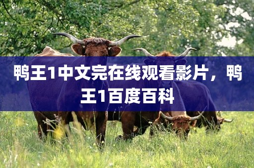 鸭王1中文完在线观看影片，鸭王1百度百科