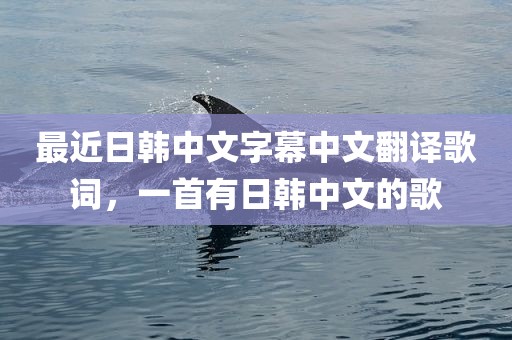 最近日韩中文字幕中文翻译歌词，一首有日韩中文的歌