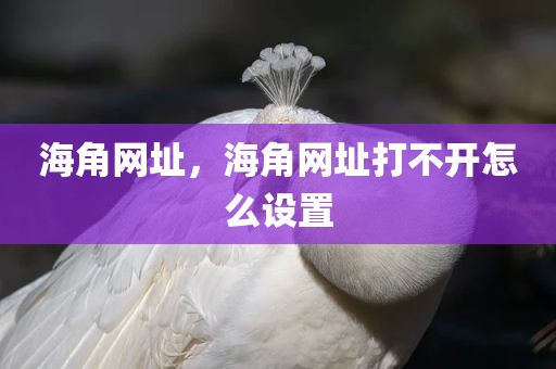 海角网址，海角网址打不开怎么设置