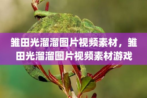 雏田光溜溜图片视频素材，雏田光溜溜图片视频素材游戏