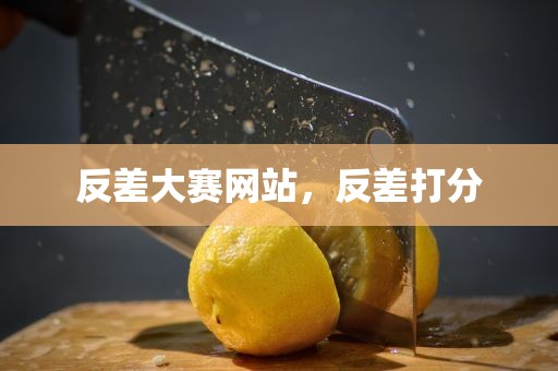 反差大赛网站，反差打分