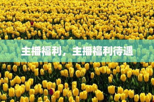 主播福利，主播福利待遇