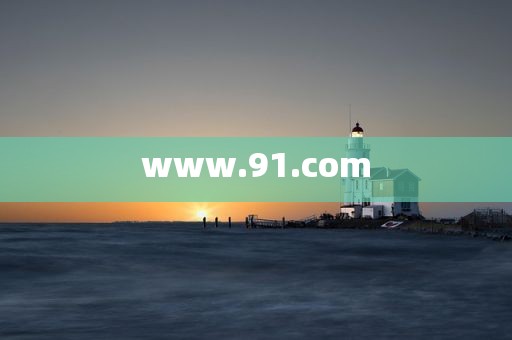 www.91.com