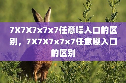 7X7X7x7x7任意噪入口的区别，7X7X7x7x7任意噪入口的区别