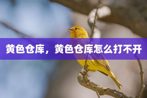黄色仓库，黄色仓库怎么打不开