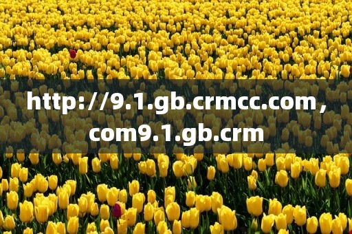 http://9.1.gb.crmcc.com，com9.1.gb.crm