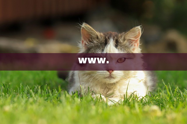 www.