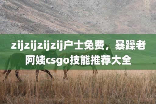 zijzijzijzij户士免费，暴躁老阿姨csgo技能推荐大全