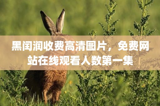 黑闰润收费高清图片，免费网站在线观看人数第一集