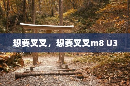 想要叉叉，想要叉叉m8 U3