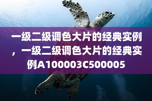 一级二级调色大片的经典实例，一级二级调色大片的经典实例A100003C500005