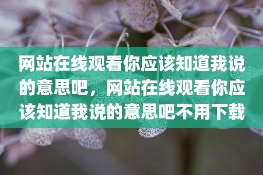 网站在线观看你应该知道我说的意思吧，网站在线观看你应该知道我说的意思吧不用下载